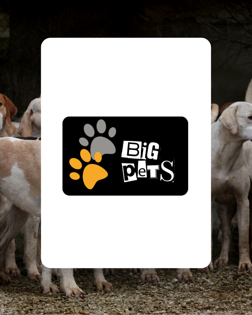 BIGPET´S