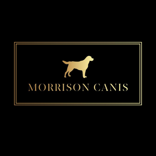 Morrison Canis
