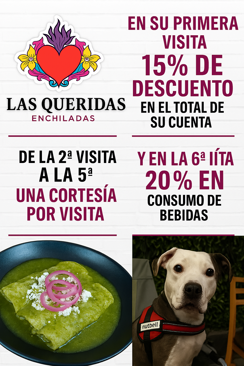 Descuentos Petlovers